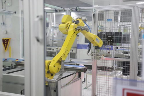 粵港澳大灣區與長三角 雙翼齊飛，積勢成力——網絡工程的機遇與挑戰
